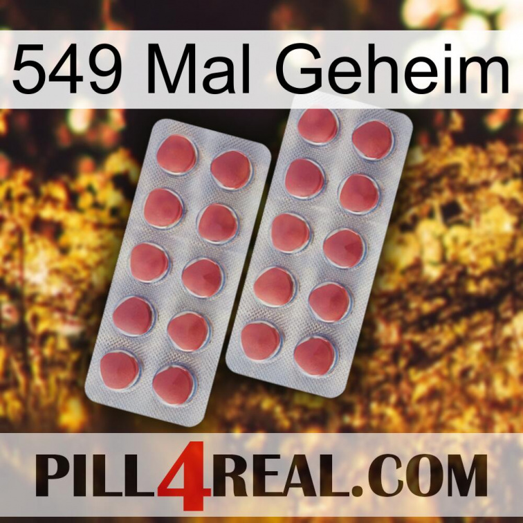 549 Times Secret 19